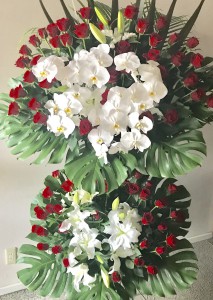 A2A53AED-366F-4322-A3DD-41AAEC718434