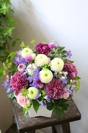 IMG_9558@@510p